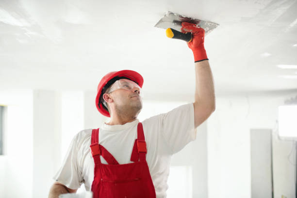Mold Odor Removal Services in Lone Oak, TN