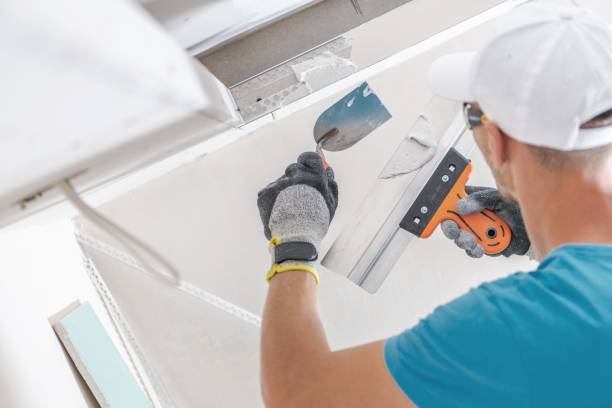 Best Water Damage & Mold Remediation  in Lone Oak, TN